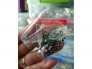 Chuôi Bông Tai Trắng 100 Cái