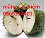 Giống cây mãng cầu xiêm ghép, mãng cầu xiêm hạt, mãng cầu xiêm cây giống chuẩn.