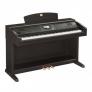 Yamaha CVP-503