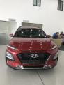 Xe Kona 2.0 Tiêu Chuẩn