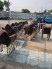 Lô ghế nhựa đúc thanh lý gấp