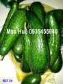 Sỉ lẻ bơ sáp, sầu riêng, chanh dây Đà Lạt