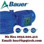 Động cơ hộp số Bauer - Đại lý Bauer việt nam