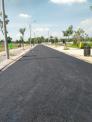 Đón lợi cùng năm Kỉ Hợi với dự án New City 2019