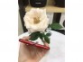 Cần bán iphone 8Plus-64-Red máy trưng bày