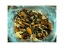 Thuốc Nam Gia Truyền Vùng Cao