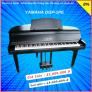 Piano Yamaha DGP-1PE