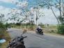 Bán Đất Củ Chi , SHR, mặt tiền đường Bà Thiên -Phạm Văn Cội, nhận đất