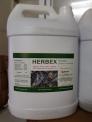 Herbex (Best Ga), bổ gan thảo dược dạng nước, bổ gan dạng nước, thảo dược bổ gan