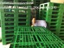 Pallet nhựa quận Thủ Đức