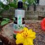Serum Gon trị mụn 100% từ thiên nhiên