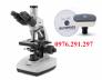 Kiến hiển vi 3 mắt của hà lan