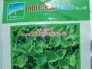 Hạt giống Rau Má