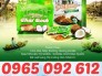 Bánh Dừa Nướng Quảng Nam