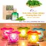 Tinh Dầu Thiên Nhiên Charme Hương Bạc Hà + Tặng Kèm Đèn Xông