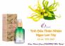 Tinh Dầu Thiên Nhiên Charme Hương Ngọc Lan Tây (Ylang) + Tặng Kèm Đèn Xông