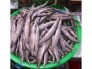 thực phẩm