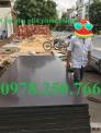 Ván ép phủ phim, ván cốp pha Trà Vinh - Bạc Liêu