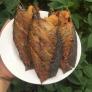 Cá Sặc Trứng