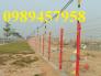 Lưới hàng rào sơn tĩnh điện  phi 5 ô 75x200, hàng rào mạ kẽm nhúng nóng ô 75x200