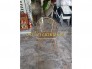 Thanh lý 30 ghế sắt ngoài trời giá