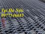 Lưới hình thoi ô lưới 20*40 dây 2 ly hàng có sẵn