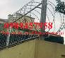Cung cấp Dây thép gai Nam Định, Dây thép gai mạ kẽm