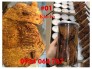 Khô Bò, Cá Thiều Lát Cán Mỏng, Mực...