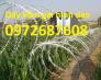 Cung cấp dây kẽm gai hình dao chống trộm giá tốt