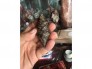 Trầm Hương Mắt Tử Loại 1
