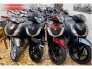 CHUYÊN BÁN : SH NHẬP- SH VIỆT NAM UY TÍN- CHẤT LƯỢNG NHẤT HÀ NỘI.