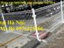 Hàng rào lưới thép mạ kẽm, sơn tĩnh điện D5a(50x150)mm