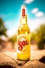 Sol Beer Vietnam Bia Sol Nhập Khẩu Từ Mexico