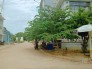 Bán đất mặt tiêng Trương gia mô
