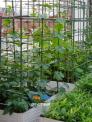 Chậu nhựa trồng rau thông minh ghép luống dài 3 mét