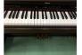 PIANO ROLAND HP3800G