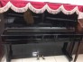 Piano cơ wellstein