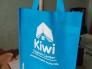 Xưởng may túi vải không dệt in logo