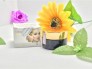 Kem Trị Sẹo Collagen DrEva - Trị Sẹo Lồi Lõm - Rỗ .....