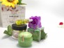 Kem Hải Thảo Pahueketo Combo Đặc Trị Nám Tàn Nhang Hoa Việt