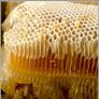 Giá bán mật ong nguyên chất bao nhiêu tiền 1 lít? Địa chỉ bán mật ong uy tín