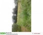 can ban gap dat mat tien 30m
