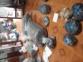 Nhà thuốc Nam Đoàn Yến