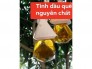 tinh dầu nguyên chất dành cho căn phòng và xe hơi