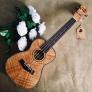 Đàn Ukulele gỗ KOA | Size concert 23' chính hãng.