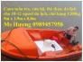 Xuồng cứu hộ, xuồng cứu nạn chở 10 người, Cano cứu hộ chở 10-12 người