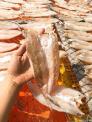 Cá mối 1 nắng - Biển Quỳnh Food