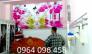 Tranh 3d dán tường phòng ngủ - A12