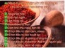 Nhuy hoa nghệ tây