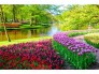 Tranh dán tường 3d mang đến ngôi nhà bạn thêm phần sang trọng quý phái